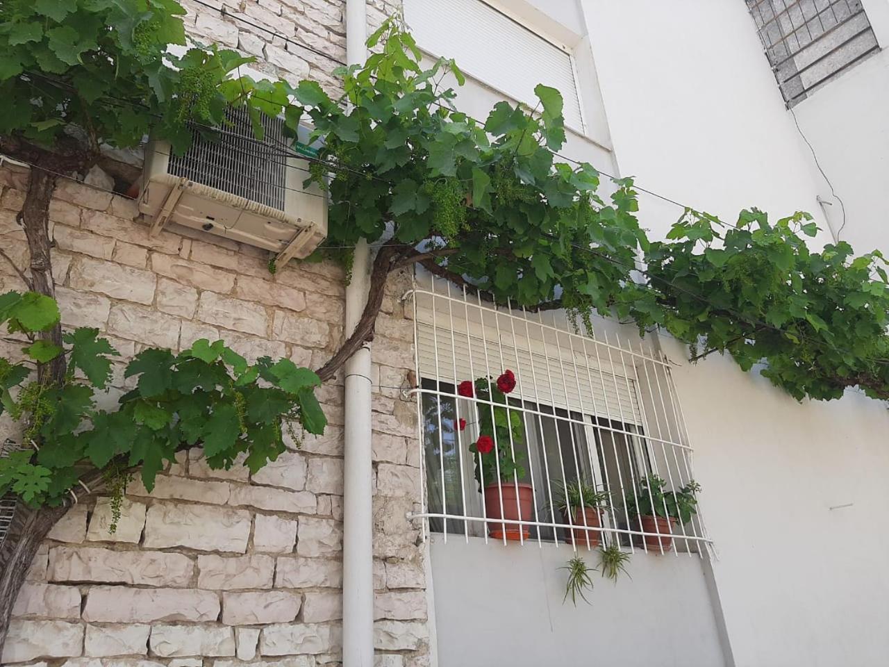 Sofia'S Modern Apartment Gjirokastër Buitenkant foto